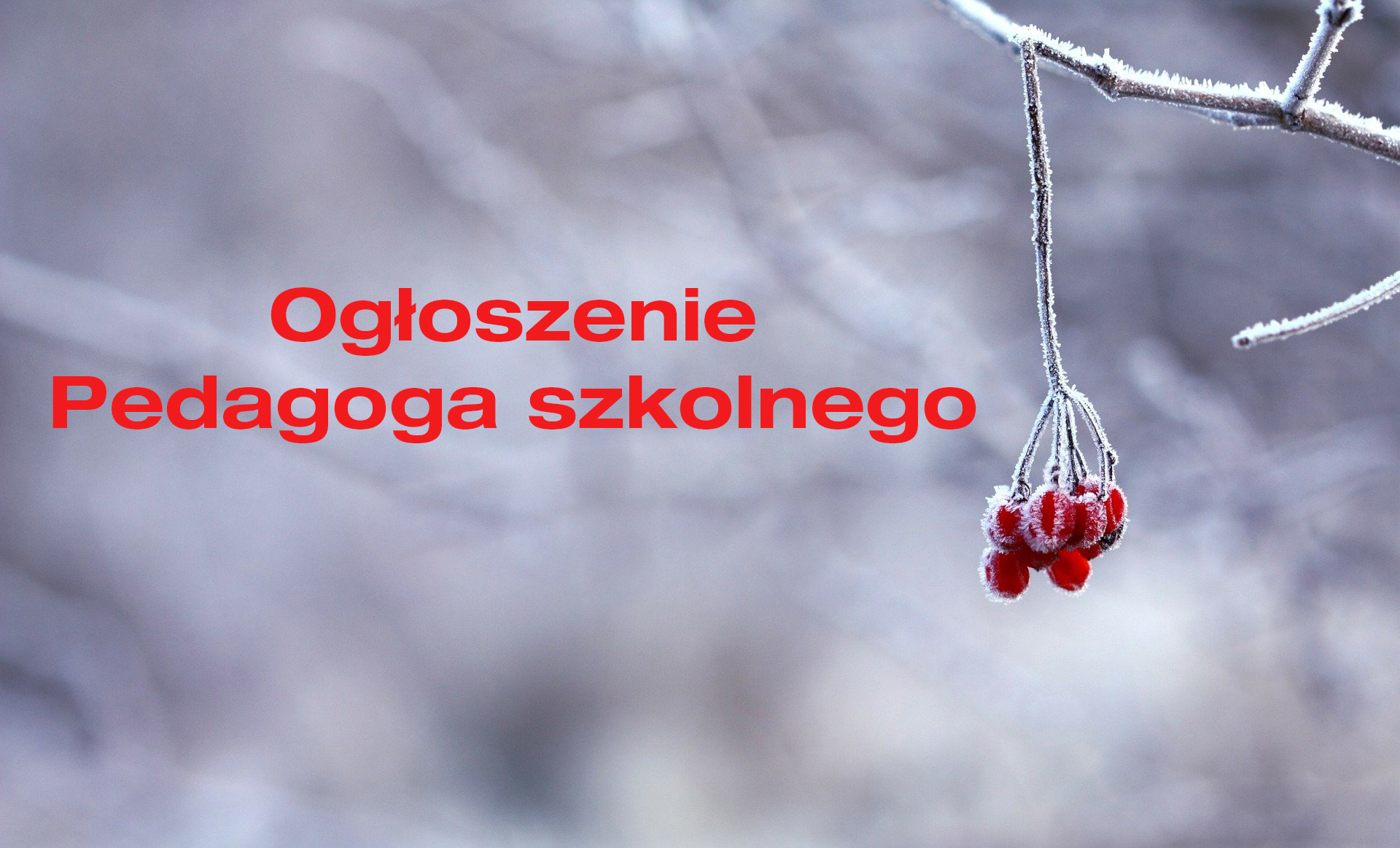 Ogłoszenie pedagoga szkolnego