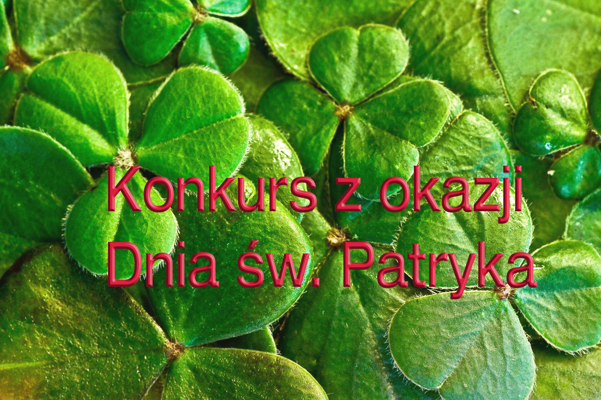 Konkurs z okazji Dnia Św. Patryka