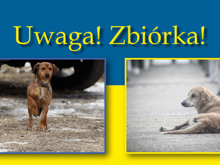 Zbiórka dla zwierząt