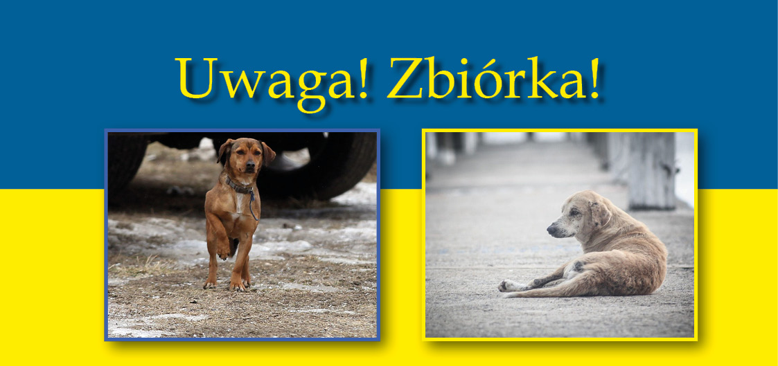 Zbiórka dla zwierząt