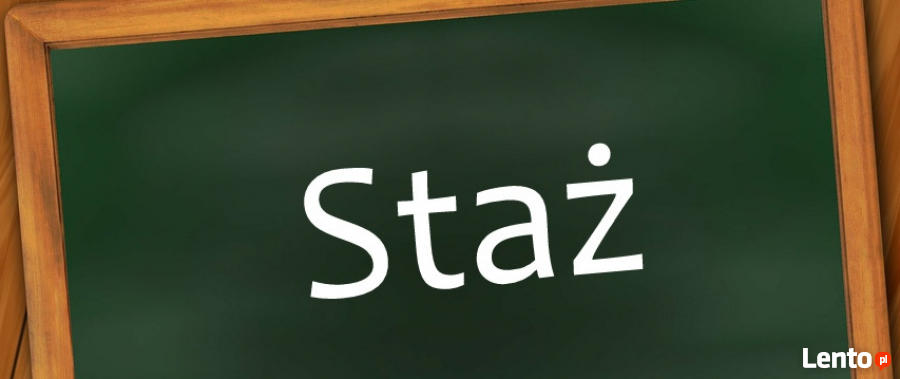 Oferta stażu