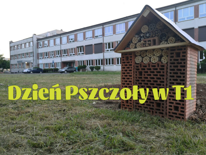 Dzień Pszczoły w T1