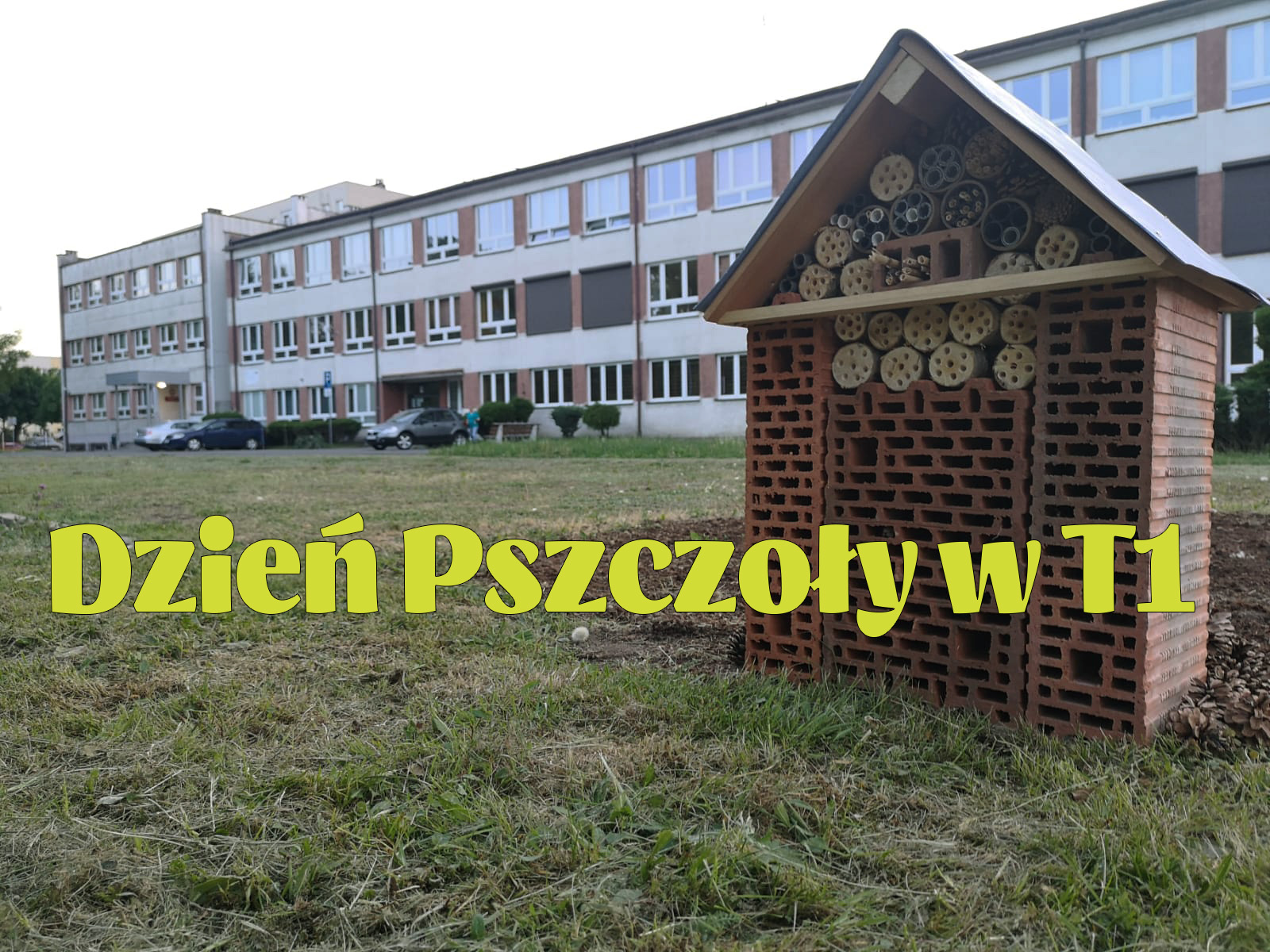Dzień Pszczoły w T1