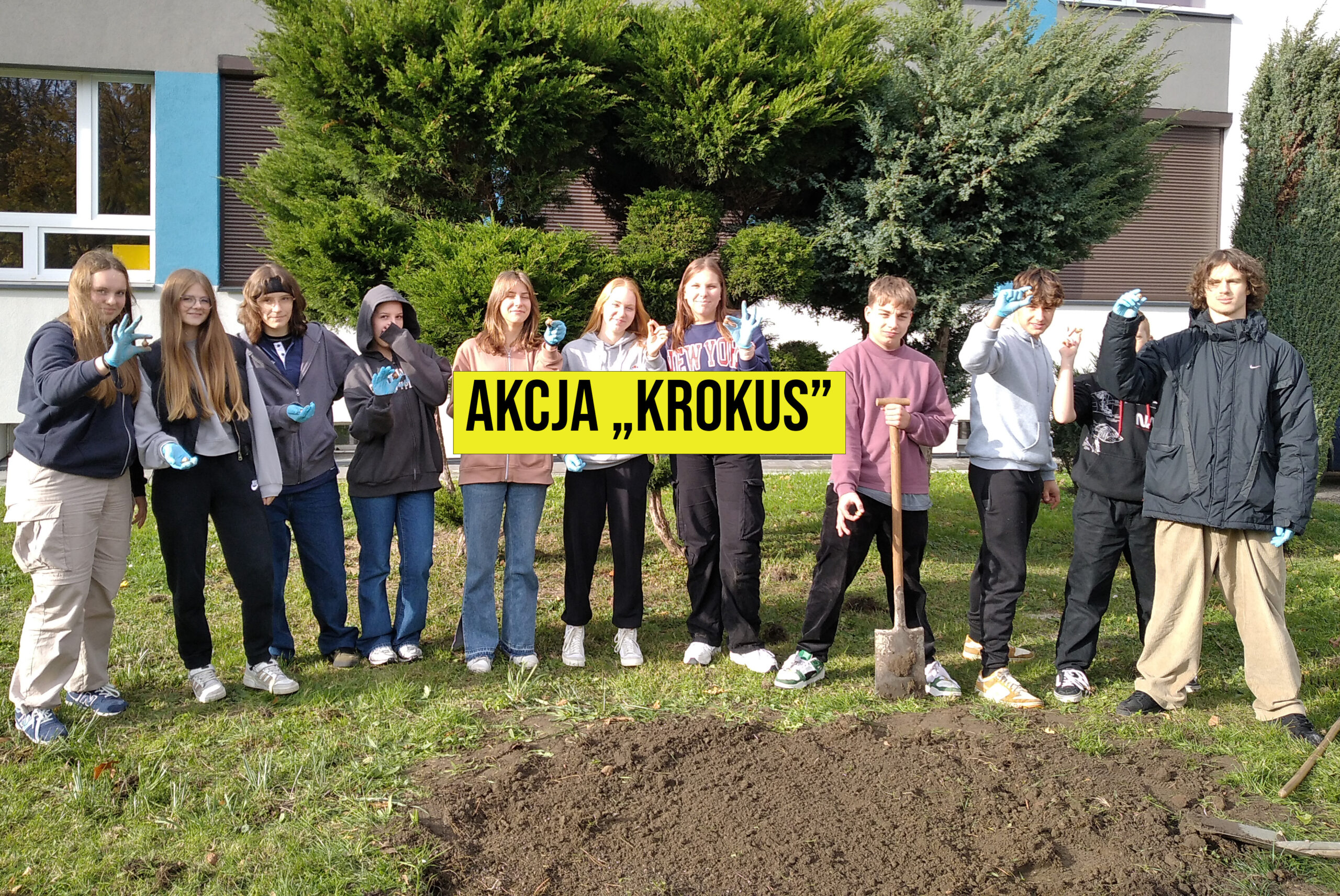Akcja "Krokus"