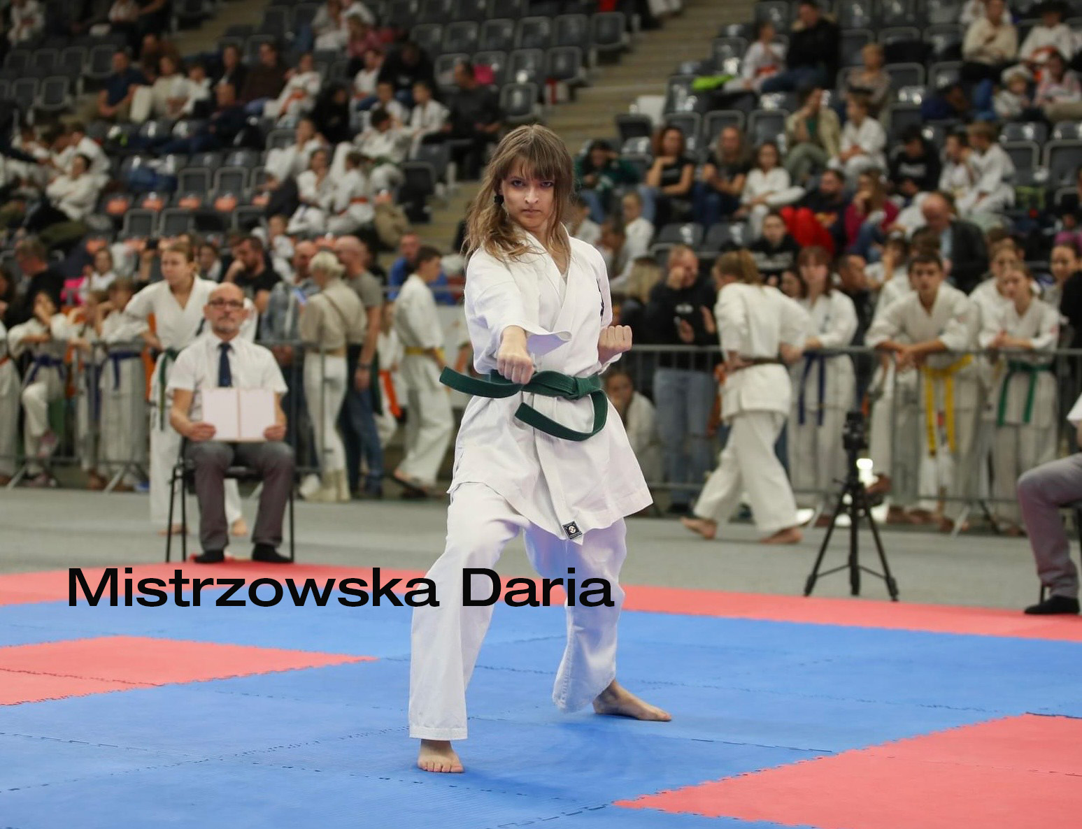 Mistrzowska Daria