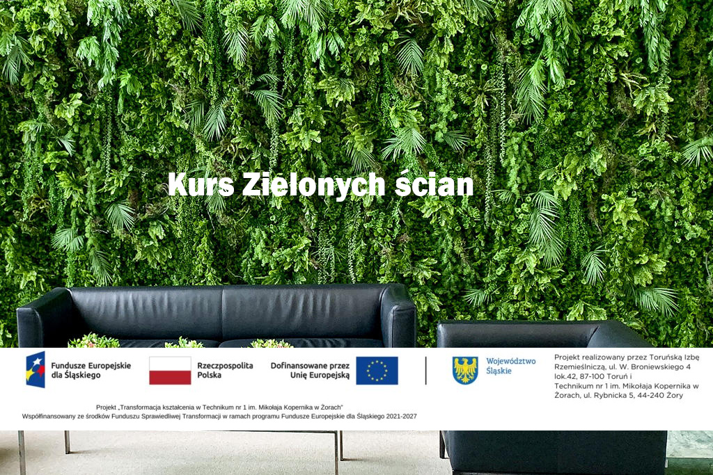 Aranżacja i wykonanie ścian pionowych