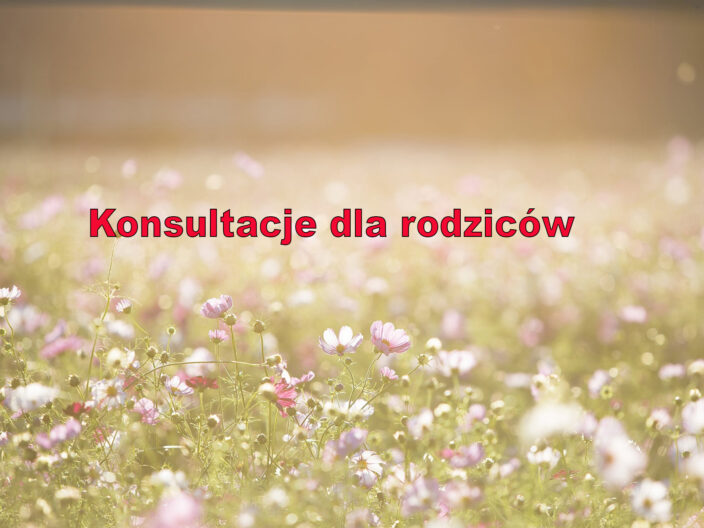 Konsultacje dla rodziców