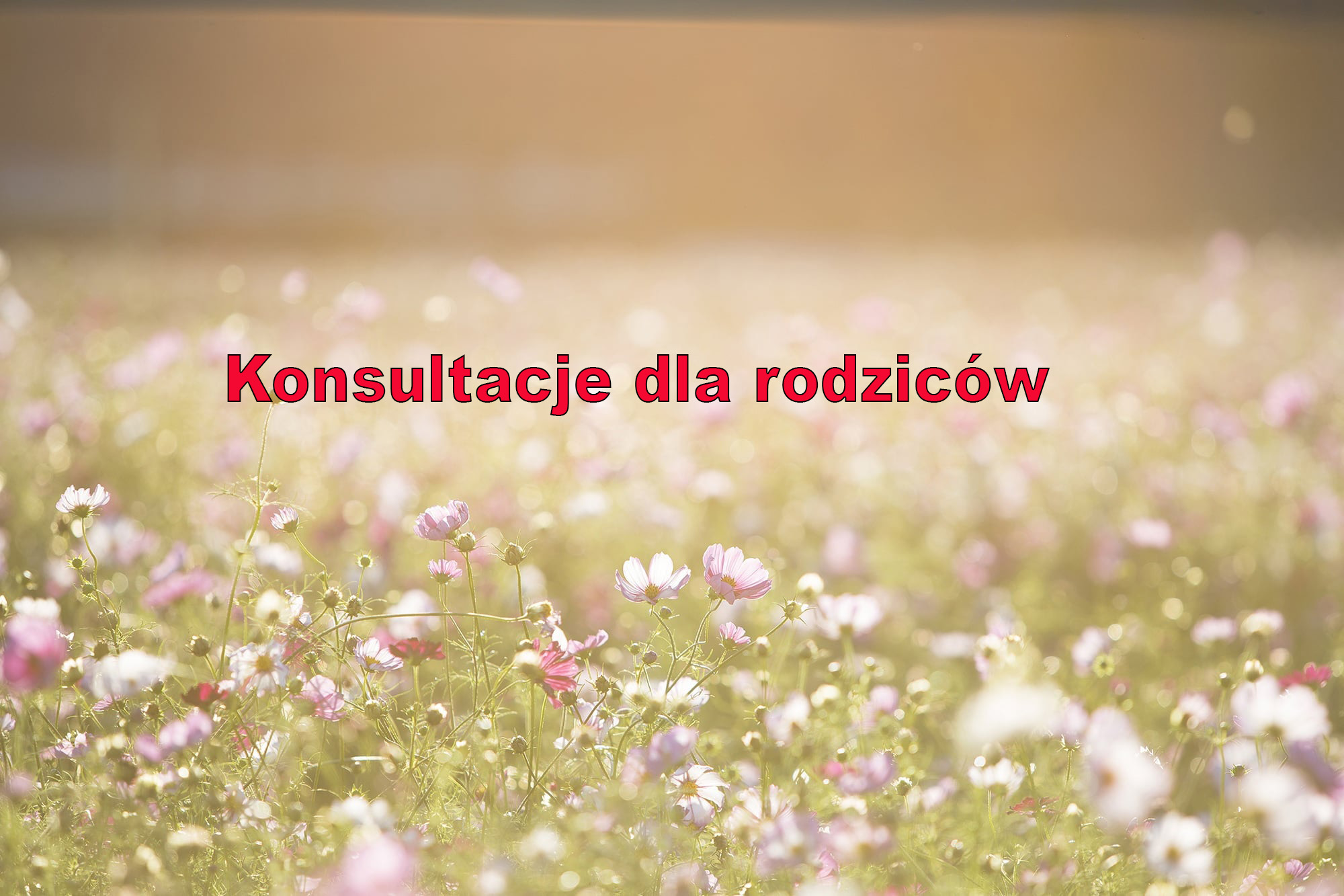 Konsultacje dla rodziców