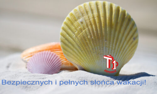 Bezpiecznych i pełnych słońca wakacji!