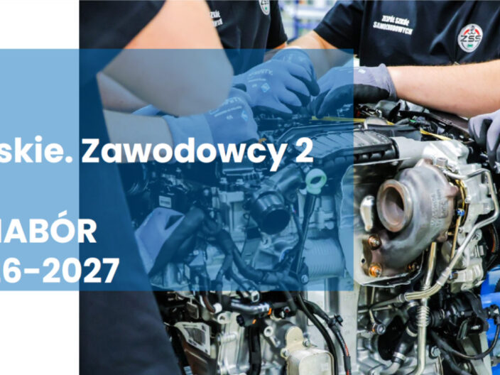 Śląskie zawodowcy 2 Nabór